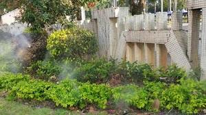 美泰噴霧--細(xì)水霧系統(tǒng)草坪花林實拍霧化噴嘴效果